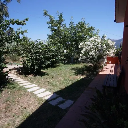 Elba Vacanze *